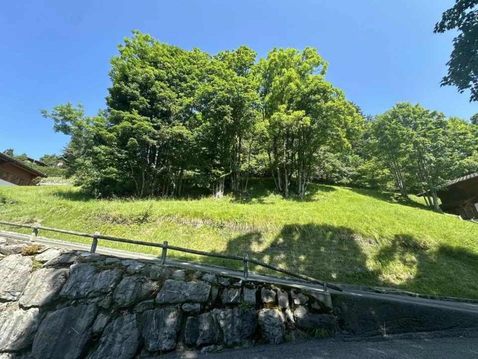Baugrund in Chesières
