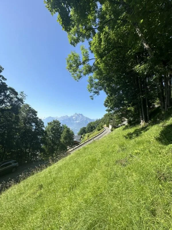 Terrain à Chesières
