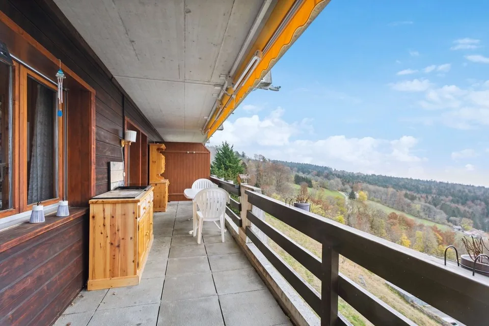 Spacious 4.5-room apartment with breathtaking view – photo 6 of 7
