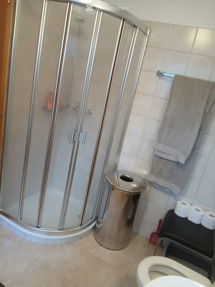 Charming 2 1/2 room apartment