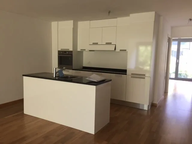 BIOGGIO - APPARTAMENT MODERNE 2 PIÈCES AU RDC