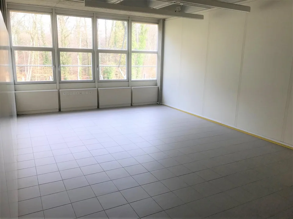 Lichtdurchflutete Gewerbe-/Büroräume zur individuellen Nutzung – Foto 6 von 7