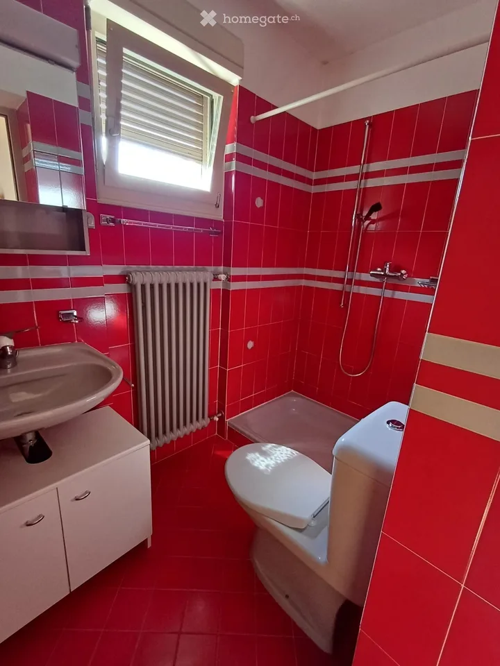 Grande 4,5 con giardino ideale per famiglia