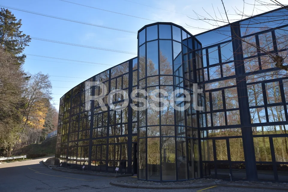 Mont-sur-Lausanne - Surfaces administratives et/ou commerciales
