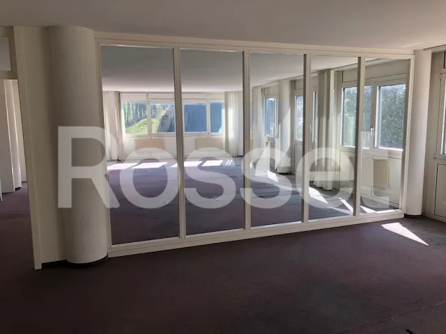 Mont-sur-Lausanne - Surfaces administratives et/ou commerciales