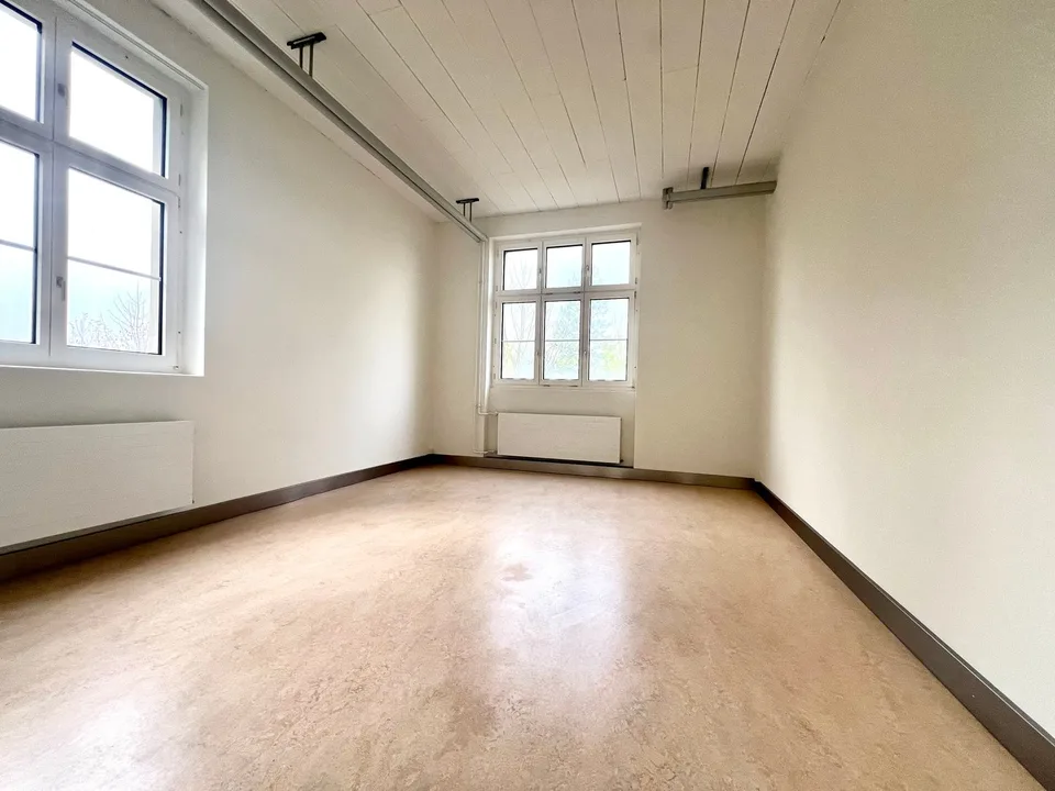 Loft spacieux dans le style urbain