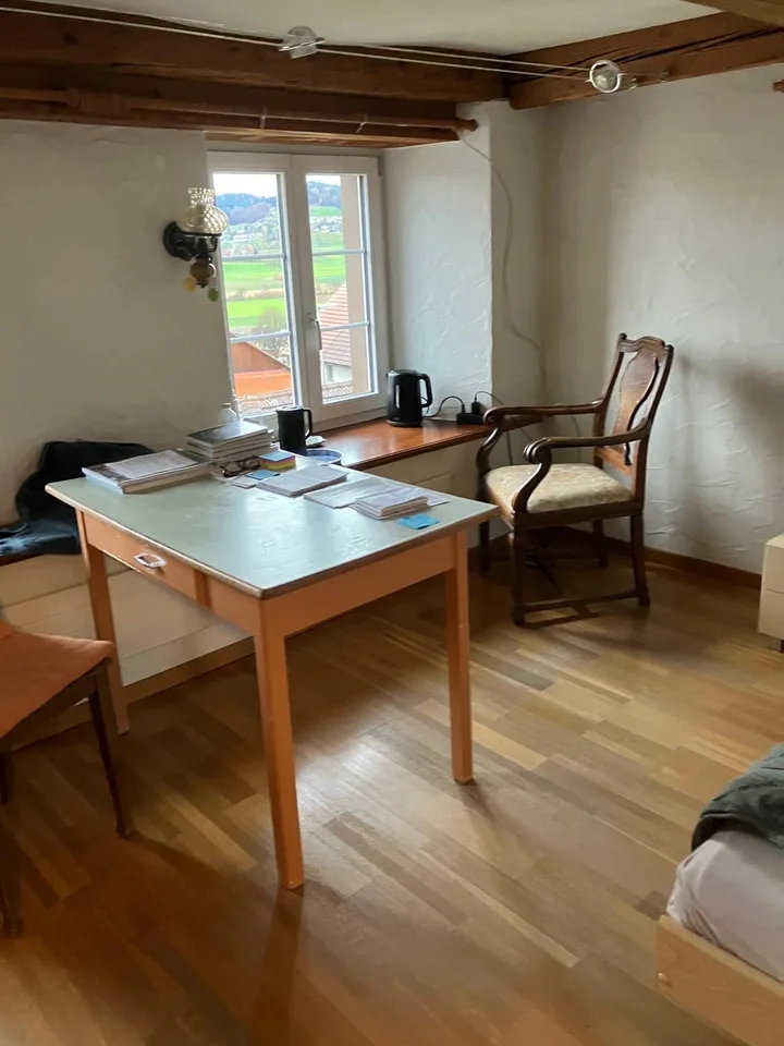 Mitbewohner/in gesucht: Charmantes, grosses, WG-Zimmer im Grünen - Keine Haustiere erlaubt – Foto 8 von 11