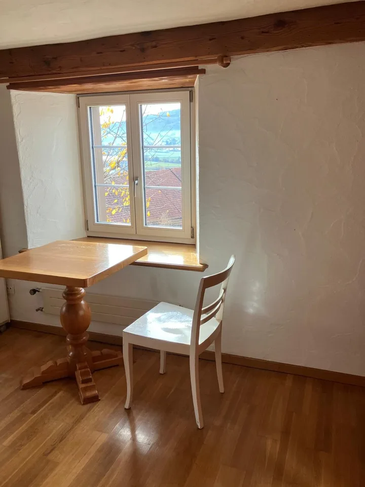 Mitbewohner/in gesucht: Charmantes, grosses, WG-Zimmer im Grünen - Keine Haustiere erlaubt – Foto 9 von 11