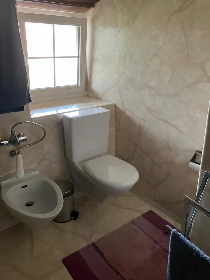 Mitbewohner/in gesucht: Charmantes, grosses, WG-Zimmer im Grünen - Keine Haustiere erlaubt – Foto 11 von 11