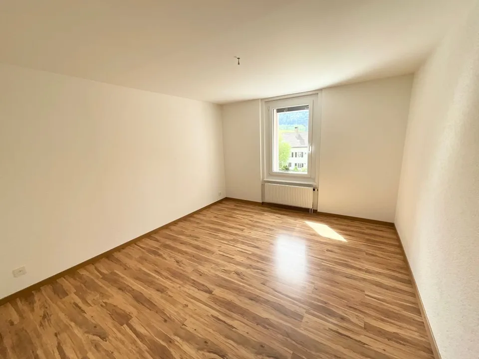 Appartamento ristrutturato di 3 locali con terrazza e vista aperta