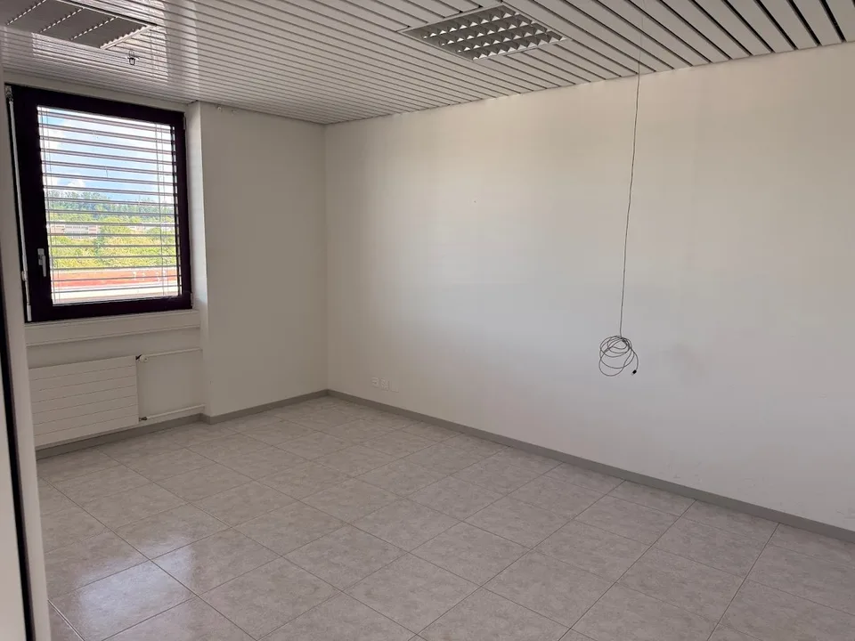 TO SEIZE - OFFICES IN ECHANDENS – photo 14 of 23
