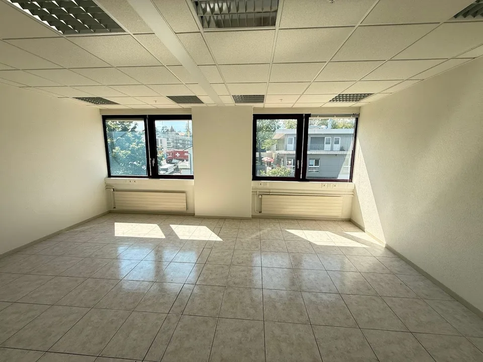 TO SEIZE - OFFICES IN ECHANDENS – photo 21 of 23