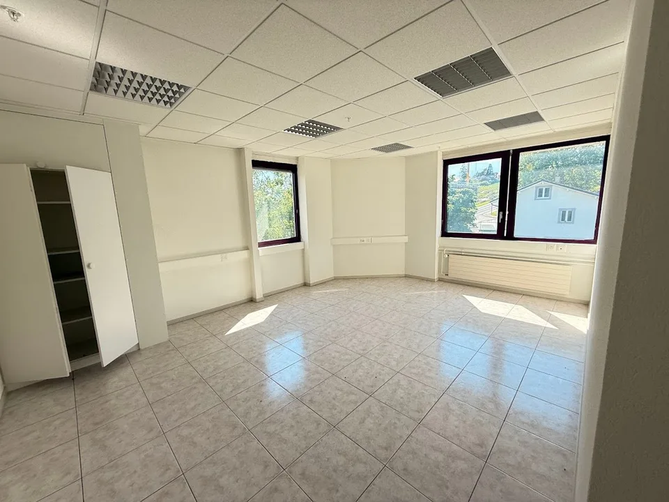 TO SEIZE - OFFICES IN ECHANDENS – photo 19 of 23