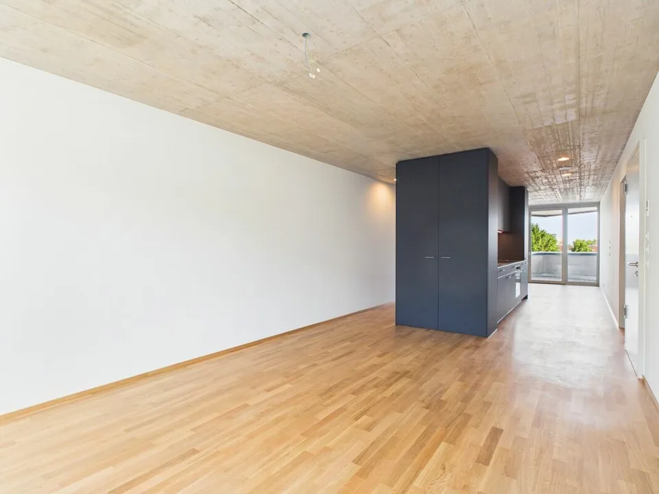Premier occupation dans un immeuble moderne - habitation de haute qualité au cœur de Bâle