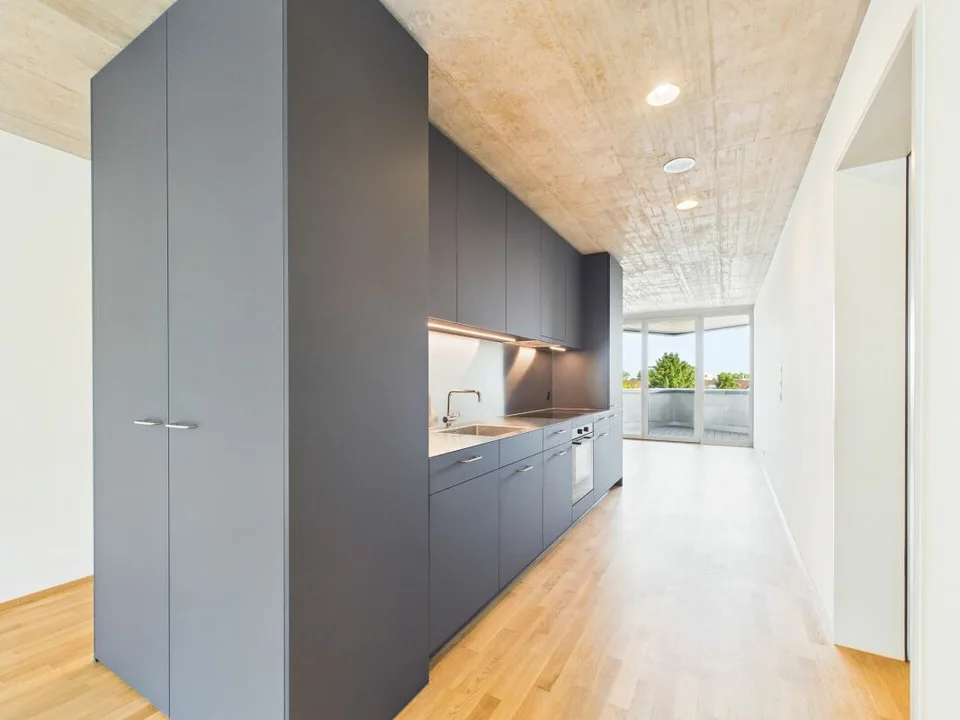Premier occupation dans un immeuble moderne - habitation de haute qualité au cœur de Bâle