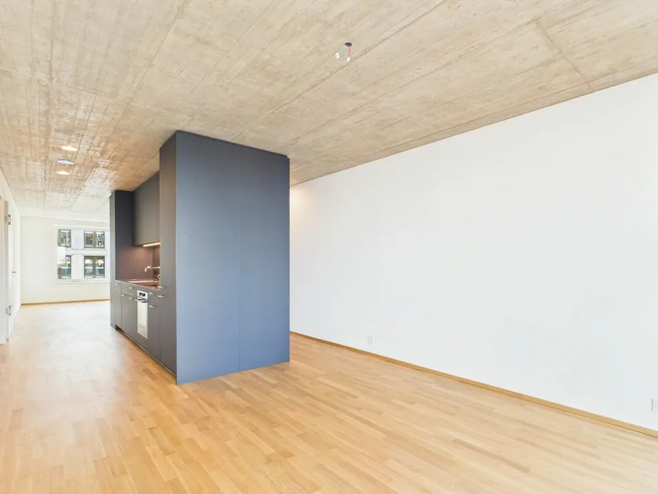 Premier occupation dans un immeuble moderne - habitation de haute qualité au cœur de Bâle