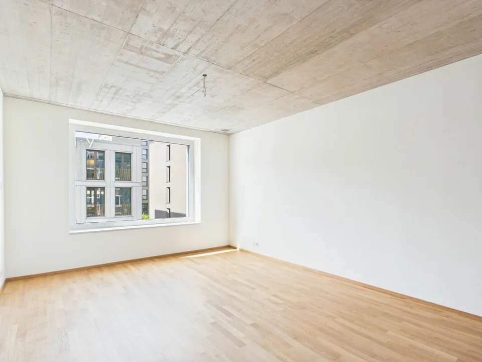 Premier occupation dans un immeuble moderne - habitation de haute qualité au cœur de Bâle