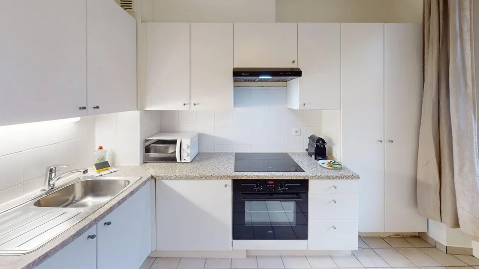 Charming furnished studio with balcony in Geneva Plainpalais