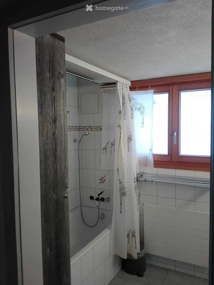 Chambre en colocation à louer dans la nature pour hommes seulement