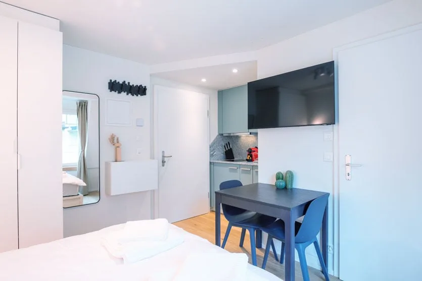 Wunderschönes möbliertes 1-Zimmer Studio in Zürich Riesbach