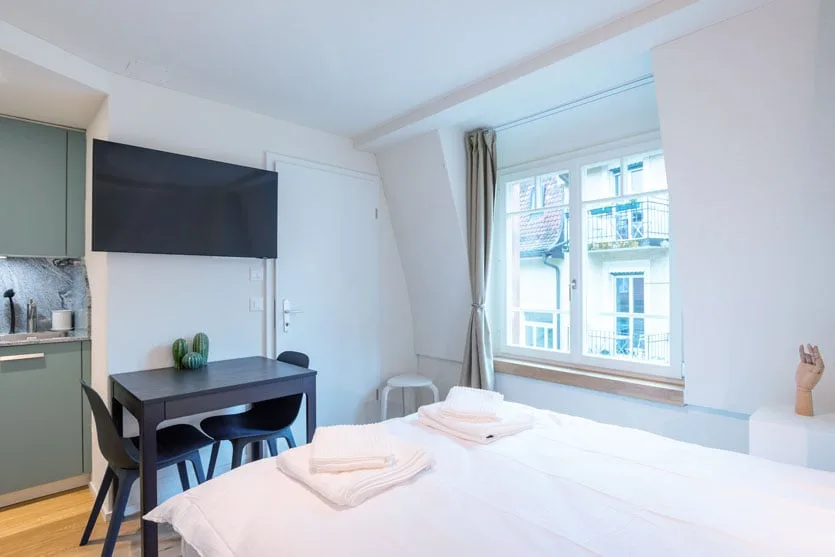 Wunderschönes möbliertes 1-Zimmer Studio in Zürich Riesbach