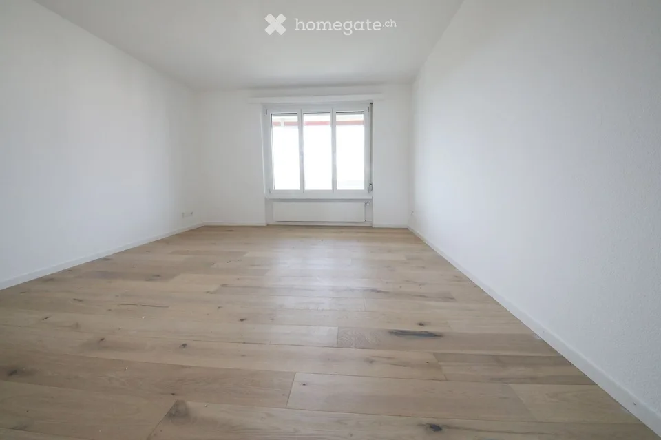 Charming 3.5-Room Apartment with Balcony and Scenic Views in Zurich-Witikon