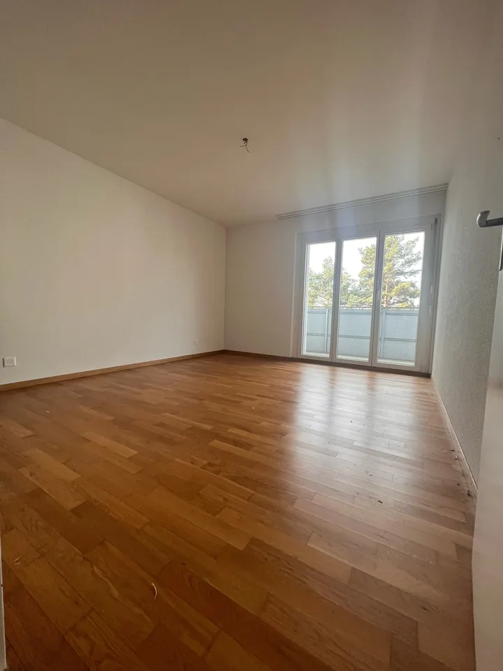 Incantevole appartamento di 4,5 locali con balcone a Pfäffikon ZH