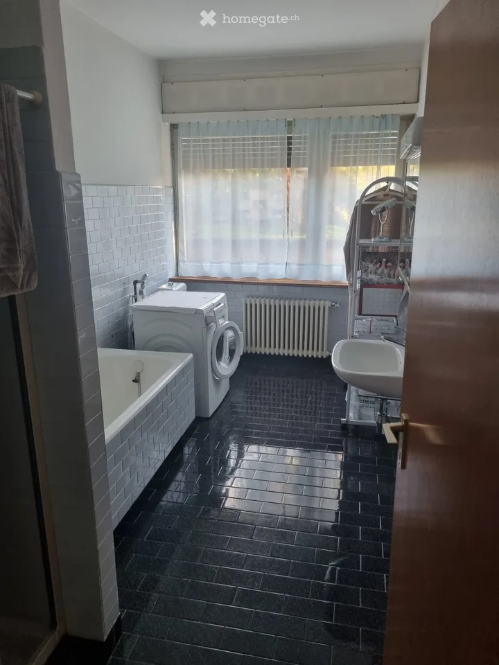 Ampio 5.5 Locali con Parco Privato e Bosco  Novazzano