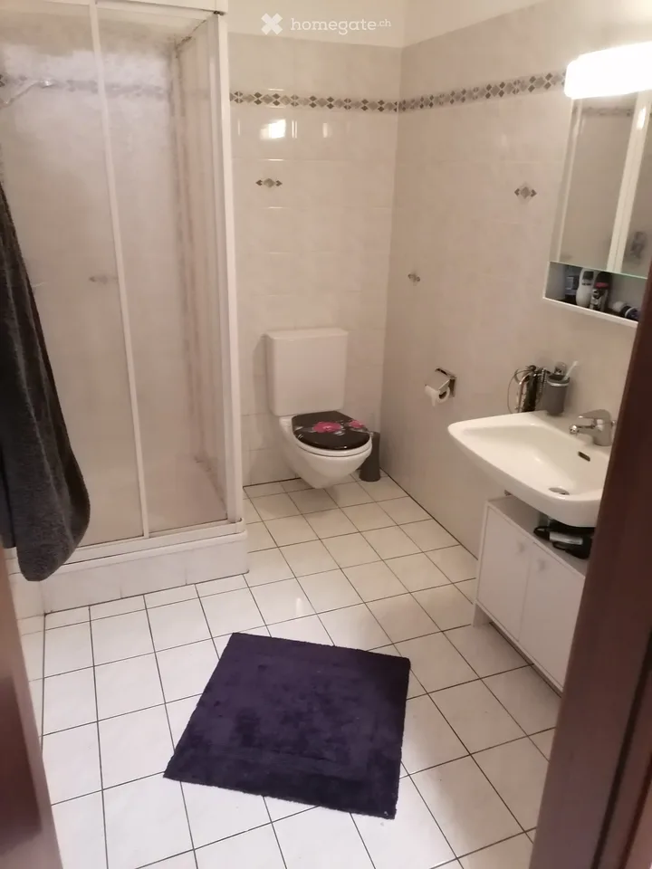 Wohnung / Ferienwohnung in Moghegno