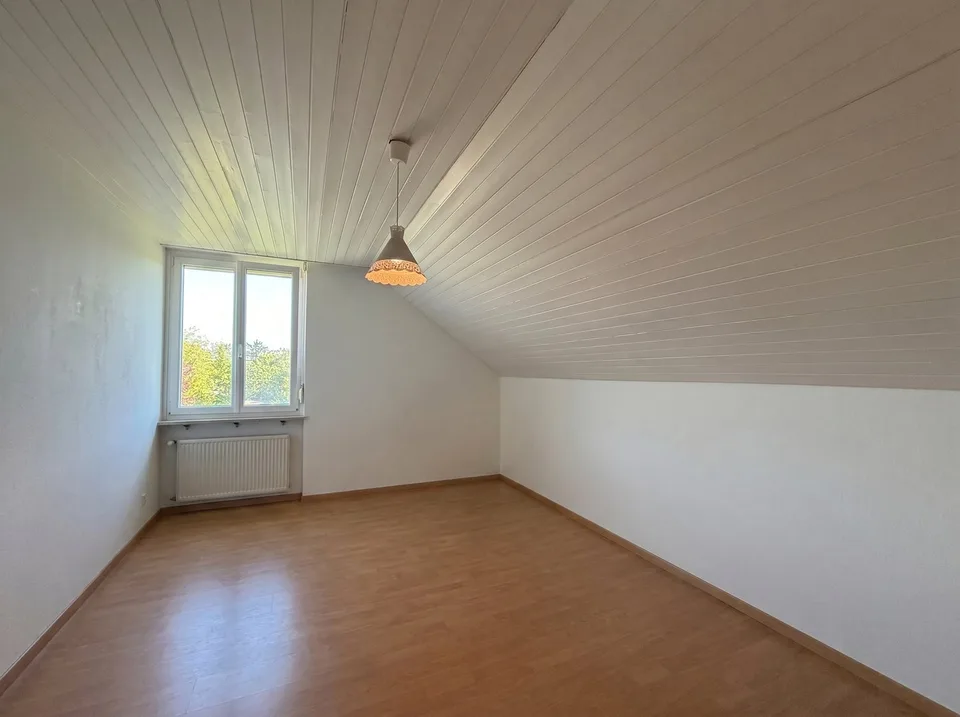 Stilvolle 3.5-Zimmer-Dachwohnung mit einzigartiger Aussicht in Frenkendorf