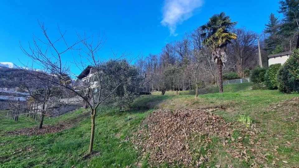 Curio: terreno edificabile in zona panoramica