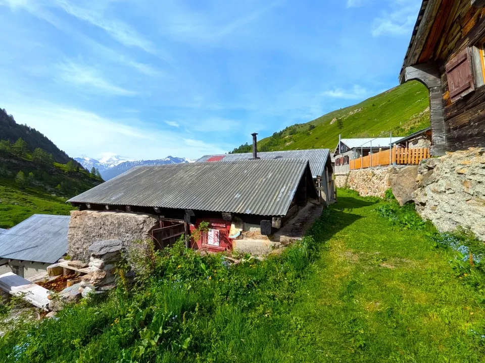 Chalet d'alpage à environ 2'000 mètres d'altitude sur la Bachalpe – photo 8 sur 14