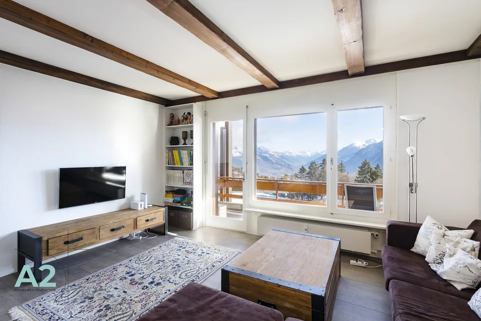 Spacieux 3 pièces rénové avec vue sur les Alpes – photo 8 sur 13