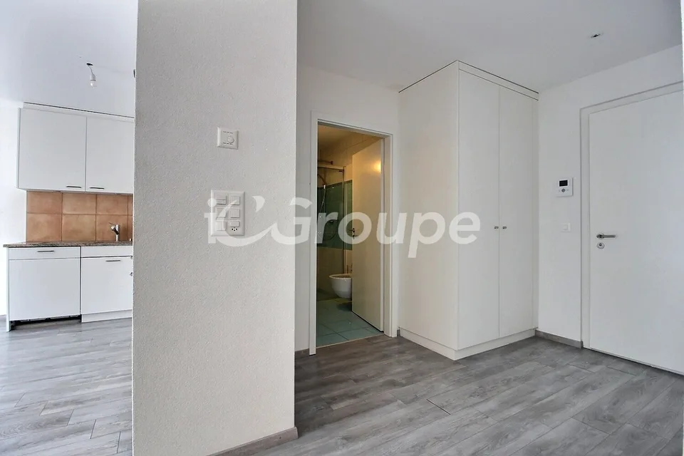 3.5-room apartment in the city center of Sion