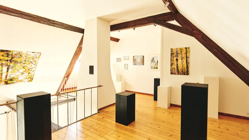 Prächtiges Herrenhaus in idealer Lage in Romont