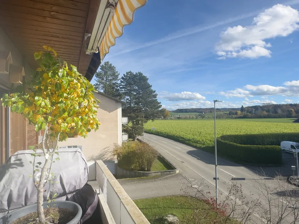 Appartamento a galleria di 5,5 locali con balcone soleggiato e bella vista – foto 4 di 27