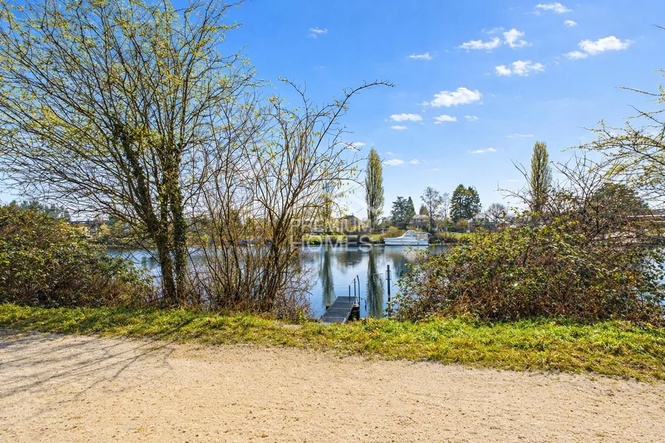 Natur pur an der Aare