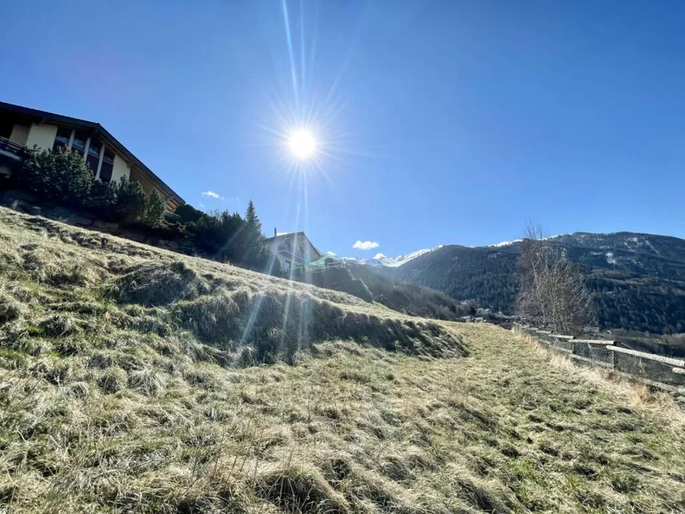 Terrain à Clèbes (Nendaz)