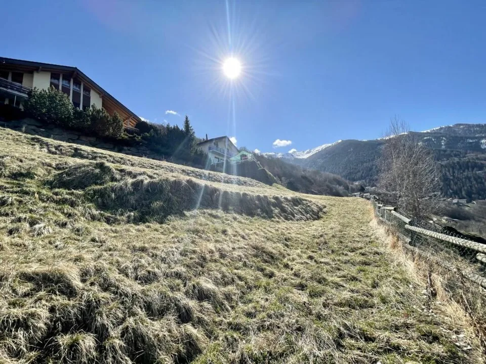 Terrain à Clèbes (Nendaz)