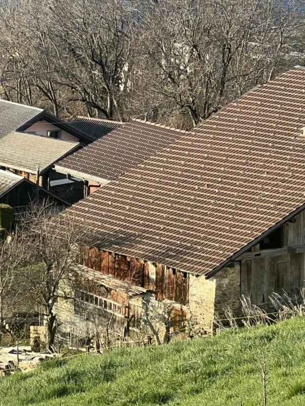 Fienile di 3 locali a Saxonne (Ayent) – foto 8 di 10