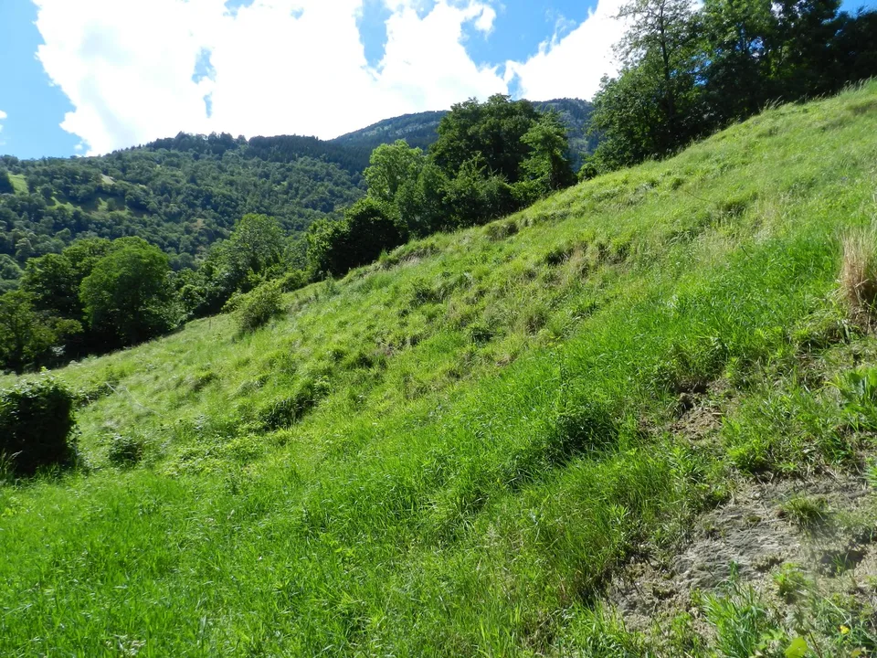 Terreno edificabile rialzato sopra i tetti di Naters