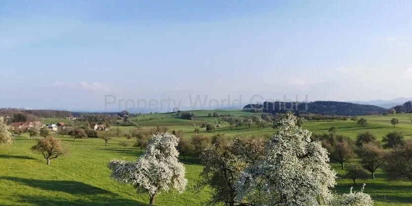 Il posto dove inizia la tua vita - 3,5 locali appartamento al piano terra - Maugwi
