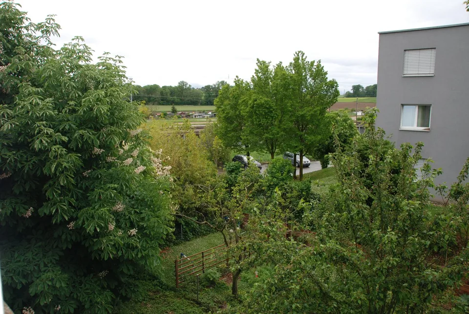 Renovierte 3,5-Zimmer-Wohnung mit Balkon in Cornaux – Foto 20 von 20