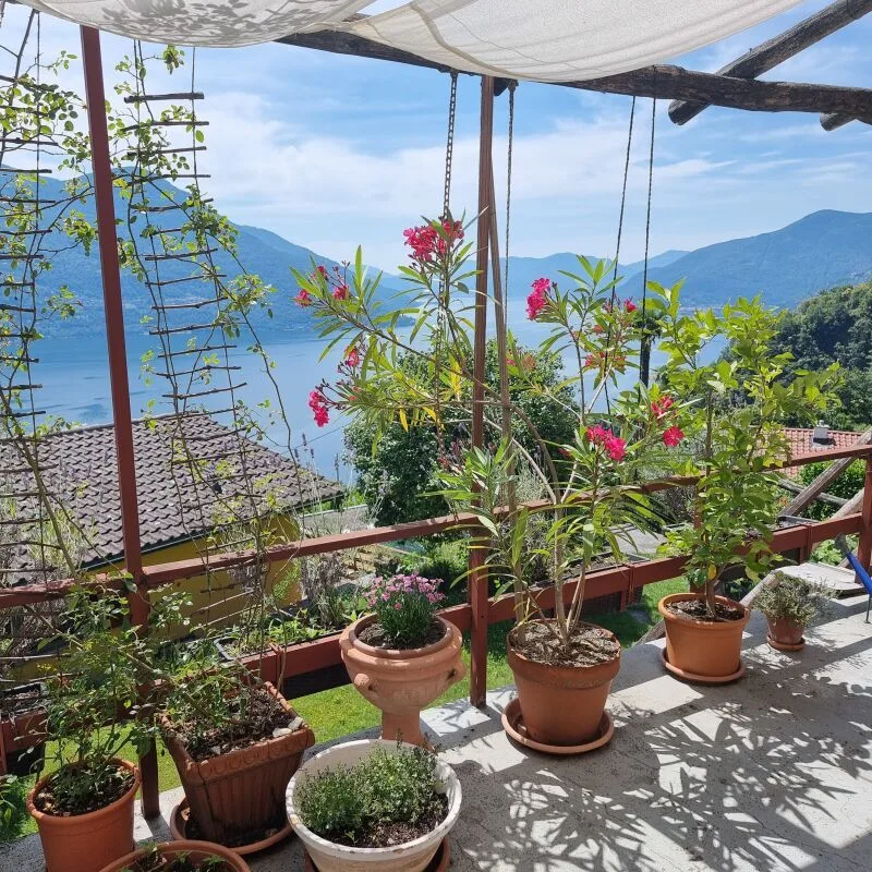 2 case di 4 1/2 locali , con giardino e magnifica vista Lago