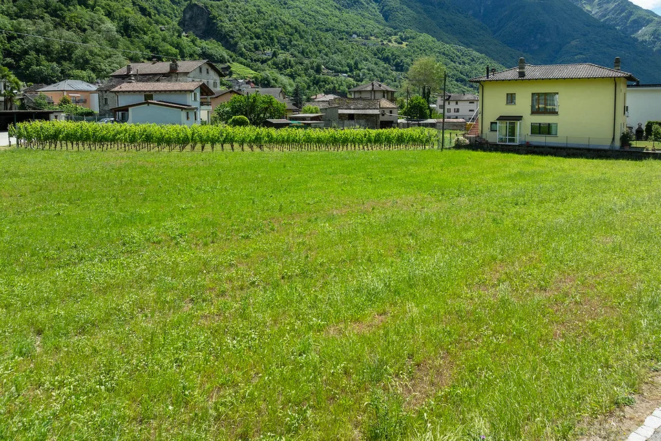 New flat land