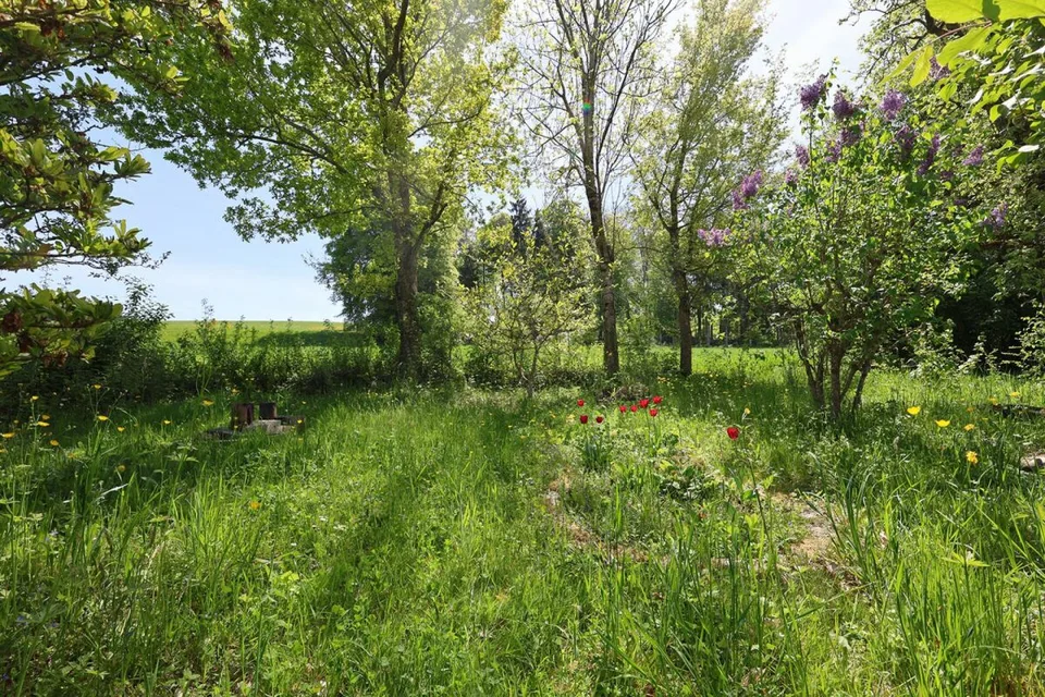 In esclusiva - Casa affascinante di 7.5 locali con un terreno di 2'000 m2 – foto 6 di 23