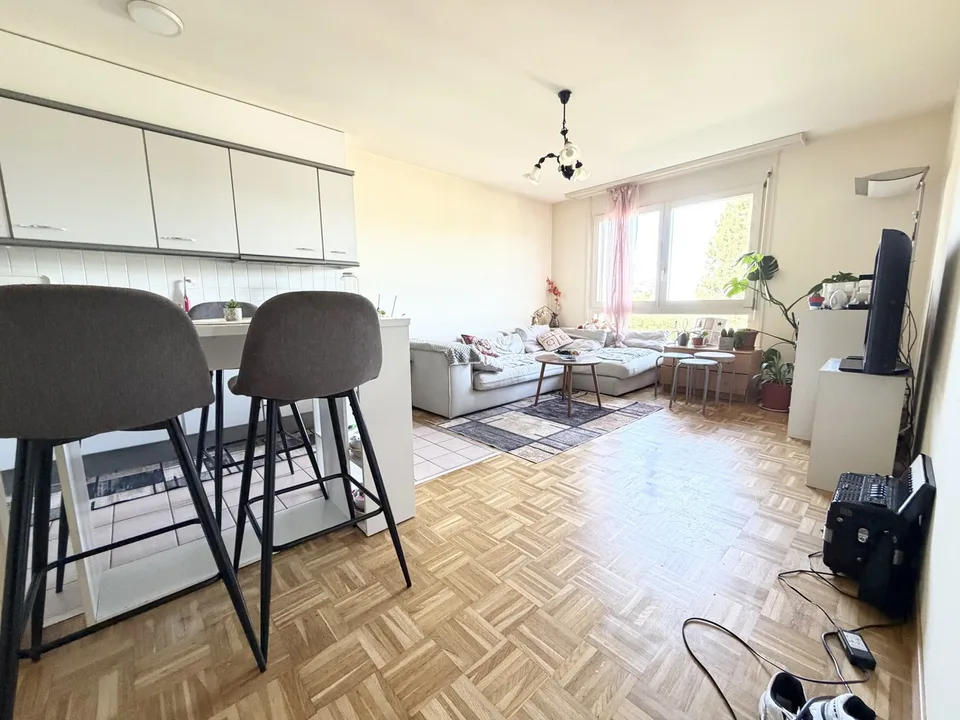 Appartement de 2.5 pièces de 45 m2 avec vue dégagée