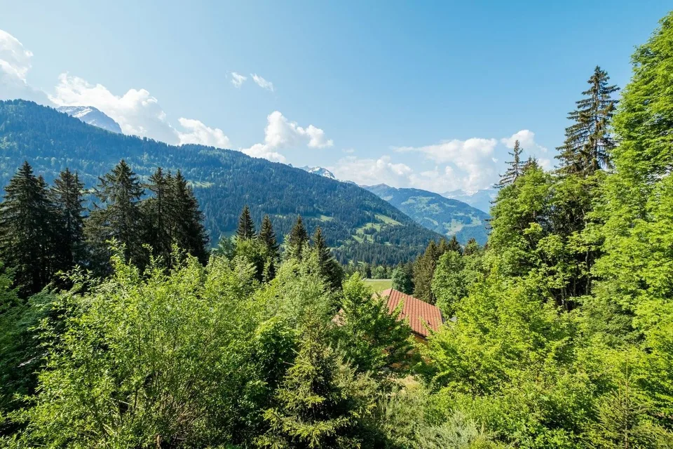 Chalet Rose: Ein grüner Friedenshort in La Barboleuse – Foto 8 von 11
