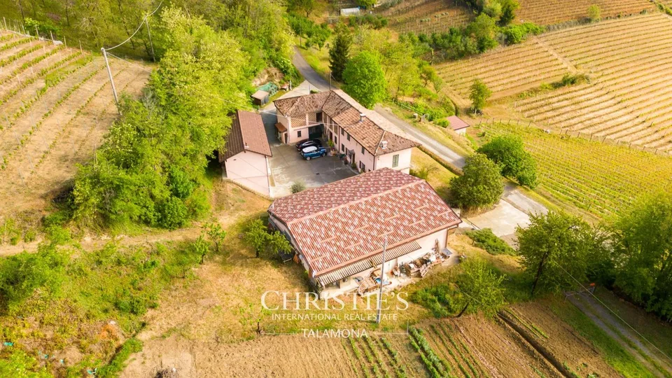 Weingut mit Weinberg und Landhaus in Canelli – Foto 7 von 13