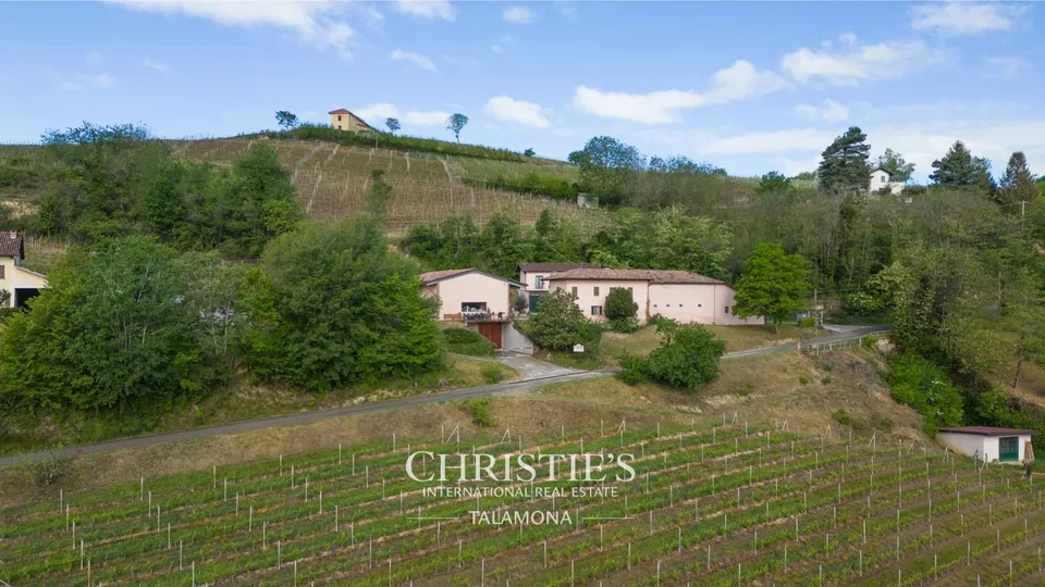 Weingut mit Weinberg und Landhaus in Canelli – Foto 8 von 13
